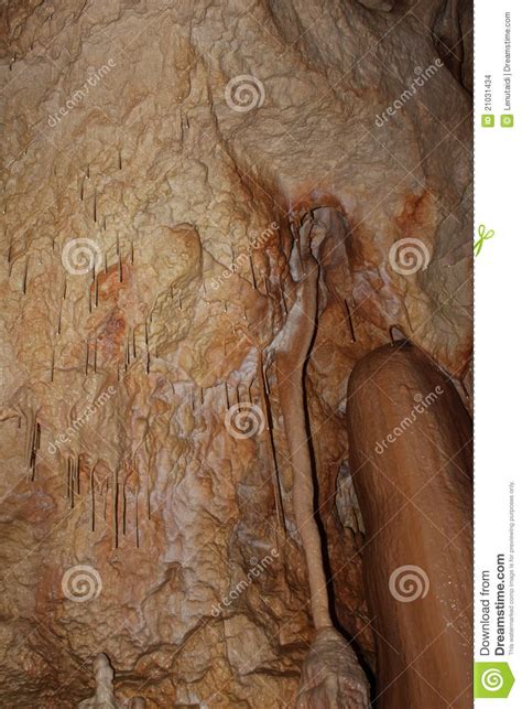 Stalactites stock photo. Image of brown, depth, dripping - 21031434