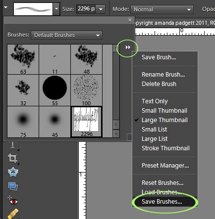 How to create a watermark brush in Photoshop Elements. | Everyday Elements