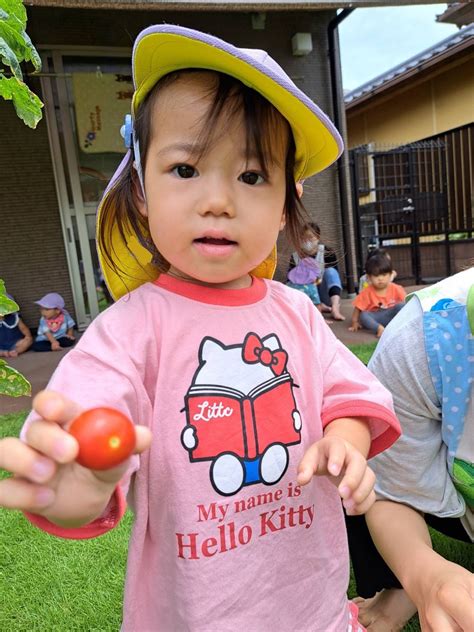 20230713 水遊びとトマトの収穫🚿🍅😊【上尾原市】｜埼玉県の認可保育園と小規模保育園「うぐす保育園」