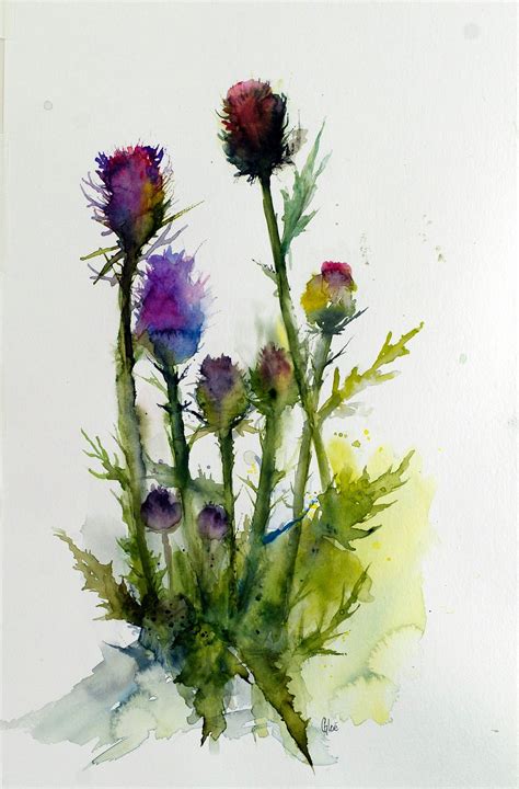 Scottish Thistle Watercolor Print Thistle Art Decor Etsy In 2021