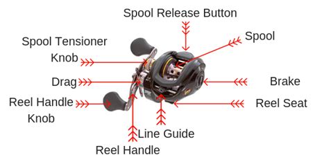 Baitcasting Reel Parts Diagram