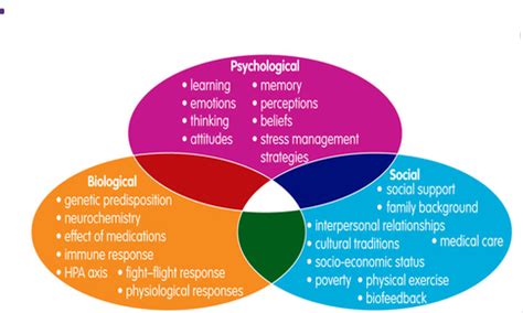 Chapter Diagnosis Of Psychological Disorders Flashcards Quizlet