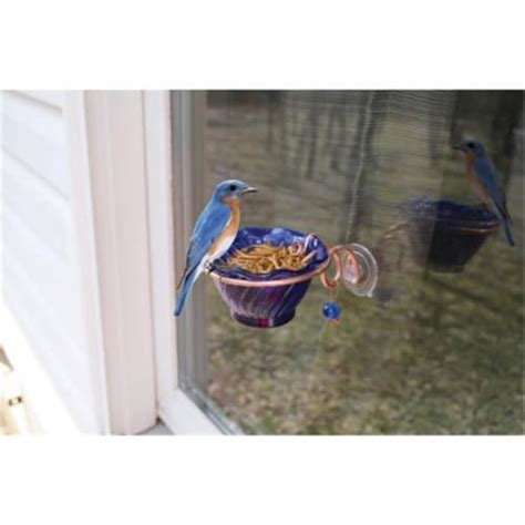 Songbird Essentials Sehhbbwf Copper Bluebird Mealworm Window Feeder 1