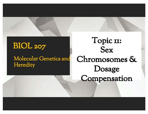 BIOL 207 Final Exam Notes Topic 11 Sex Chromosomes Determination Studocu