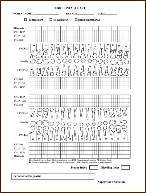 Dental Charting Practice Sheets