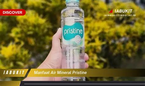 7 Manfaat Air Mineral Pristine Yang Bikin Kamu Penasaran Discover