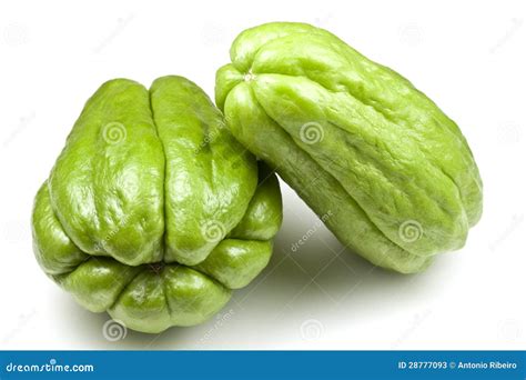 Choko stock image. Image of squash, mirliton, chayote - 28777093