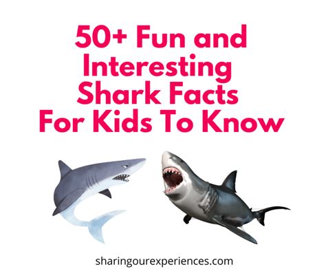 50 Fun And Interesting Shark Facts For Kids To Know - Sharing Our