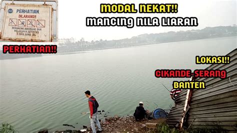 Mancing Liar Di Rawa Dapat Banyak Ikan Nila Babon Besar Umpan Turun