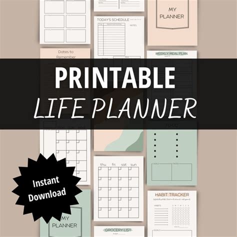 Printable Life Planner Undated Calendar Daily Weekly Etsy