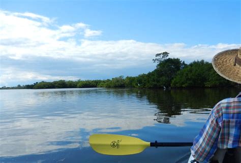 Sanibel Island kayaking: Where to go to enjoy wildlife & beauty