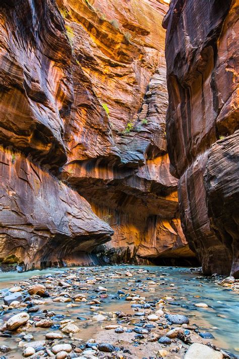 The Narrows in Zion National Park | Get Inspired Everyday! | Zion ...