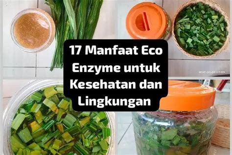 Manfaat Eco Enzyme Cara Menggunakannya Untuk Kesehatan Dan