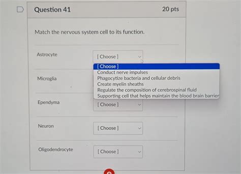 Solved Question Ptsmatch The Nervous System Cell To Chegg