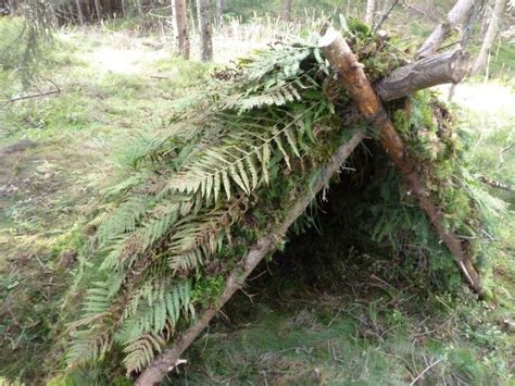 A Frame Shelter 5 Primitive Shelters That You Can Build