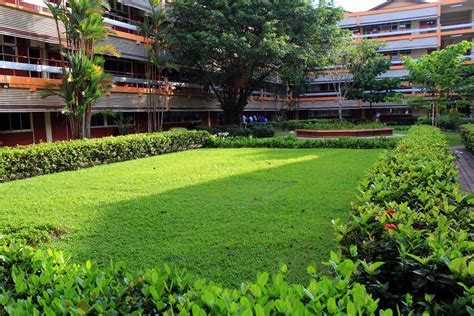 School Ground Free Stock Photo - Public Domain Pictures