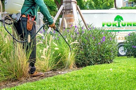 Marco Island Lawn Services Fortune S Lawn Land Tree Service