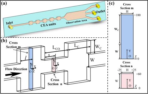 Schematic diagram of microchannel structure. a Three-dimensional... | Download Scientific Diagram