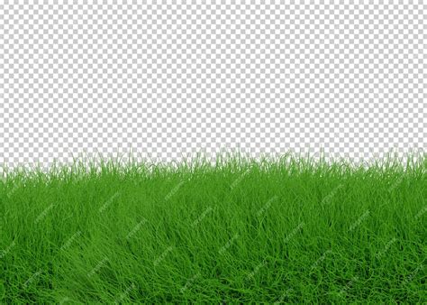 Premium Psd Grass Isolated Transparency Background