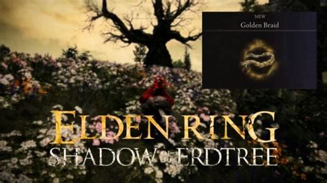 How To Get The Golden Braid Talisman In Elden Ring DLC