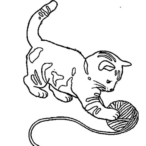 Bébé chat Coloring pages Cat drawing Animal coloring pages