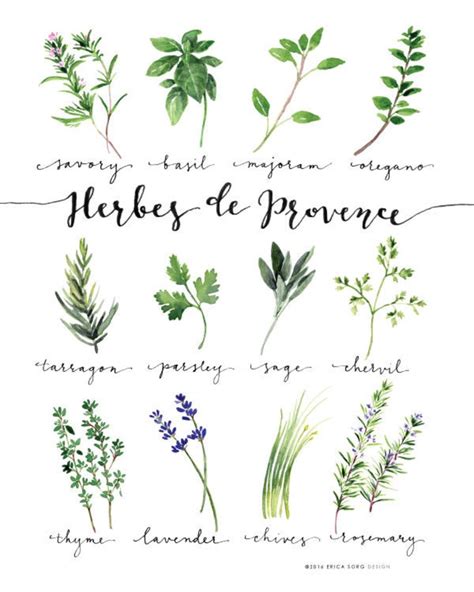 Set of 14 Herbs Printables Watercolor Herb Collection Kitchen Etsy España