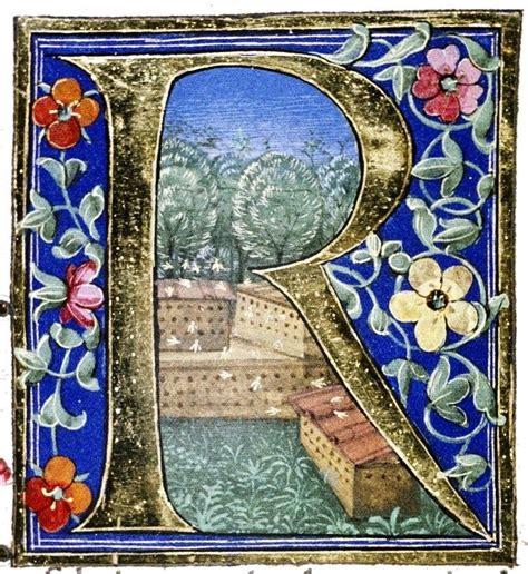 Pin By StarrandCross Reardon On Pea Fowl Illuminated Manuscript