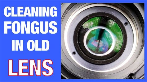 How To Remove Fungus From A Camera Lens EASY YouTube