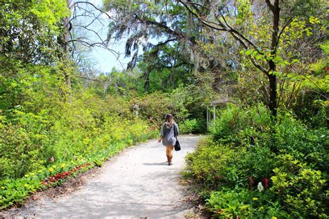 Magnolia Plantation and Gardens in Charleston, SC - Setarra