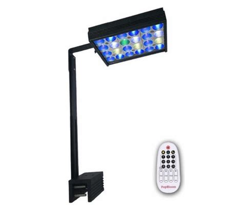 Aquariumverlichting Led Led Verlichting Aquarium Lamp Aquarium Met