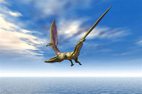 Solving the Mystery of Pterosaur Flight: Four-Limb Launch Confirmed