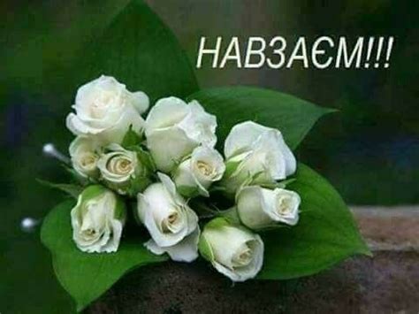 Pin di Благодарю, спасибо
