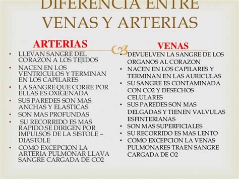 Cuadros Comparativos Diferencias Entre Venas Y Arterias Y Capilares