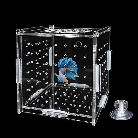 Amazon GKPONSX Acrylic Fish Breeding Box Transparent Fish