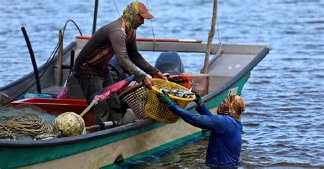 Bekalan Ikan Dijamin Cukup Pada Musim Tengkujuh Berita Harian