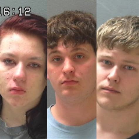 3 Charged In Violent Home Invasion In Van Buren County