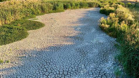 Emergenza Idrica 1 4 Milioni Di Persone Muoiono Ogni Anno Nel Mondo