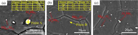 Sem Micrographs Of The Observed Section Y Z Plane Of The Az31 Thin