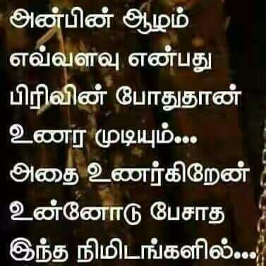 Pin By Bhuvana Jayakumar On Tamil Quotes Feelings Quotes Photo Album