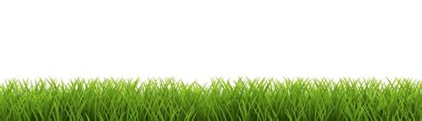 Premium Vector | Green Grass Border Isolated White Background