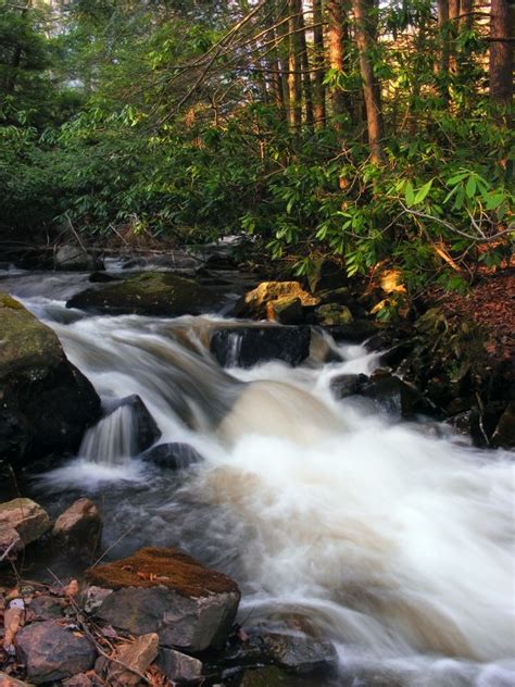 Fotos Gratis Paisaje Naturaleza Bosque Cascada Arroyo