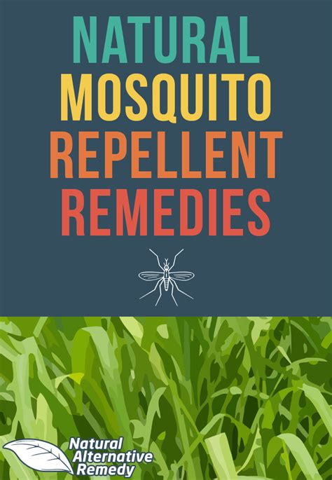 5 Simple & Effective Natural Mosquito Repellent Recipes