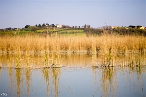 Laghi Di Chiusi E Montepulciano