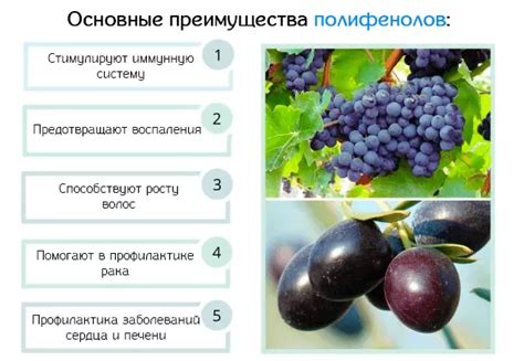 Полифенолы: что это, в каких продуктах содержатся и какая в них польза ...