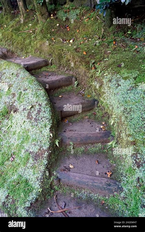 muddy hiking trails on the azoresisland sao miguel Stock Photo - Alamy