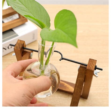 Indoor Plant Glass Pot Plant Terrarium With Wooden Stand Tabletop Glass Bulb Vase Home Garden