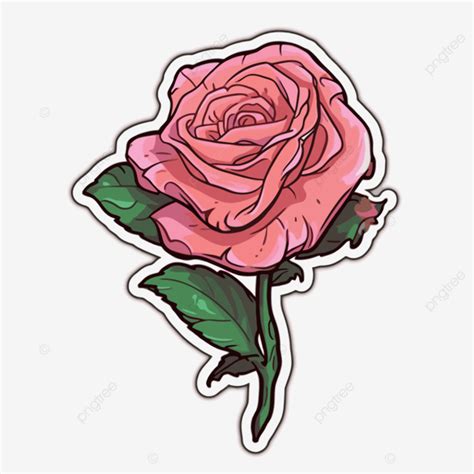 Pink Rose Sticker On White Background Clipart Vector Sticker Design