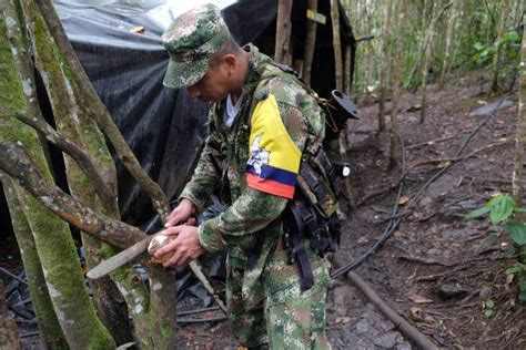 DADOS DE BAJA Al Menos 5 Disidentes De Las FARC Impacto Venezuela