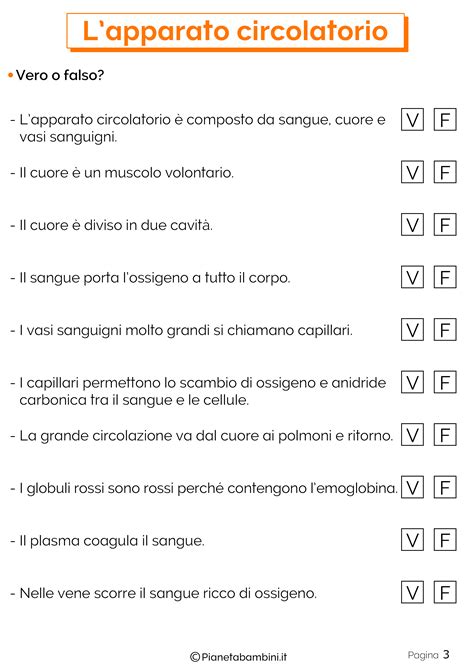 LApparato Circolatorio Schede Didattiche Per La Scuola Primaria