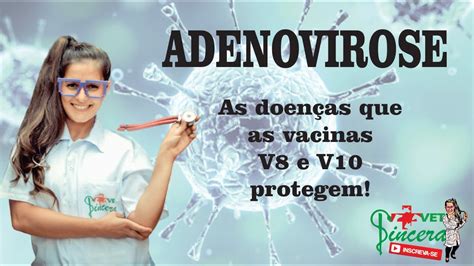 Adenovirose Doen As Que As Vacinas V E V Protegem Hepatite